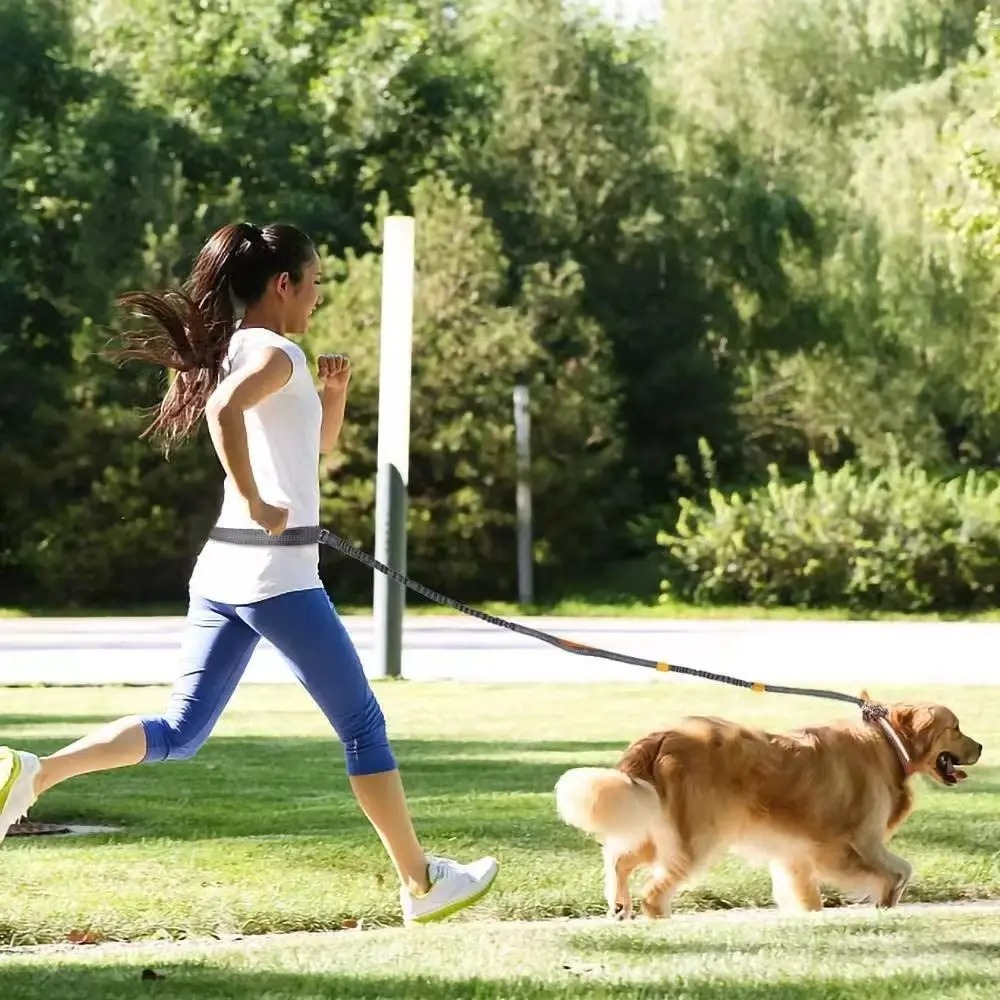 Elastic Hands-Free Running Dog Leash
