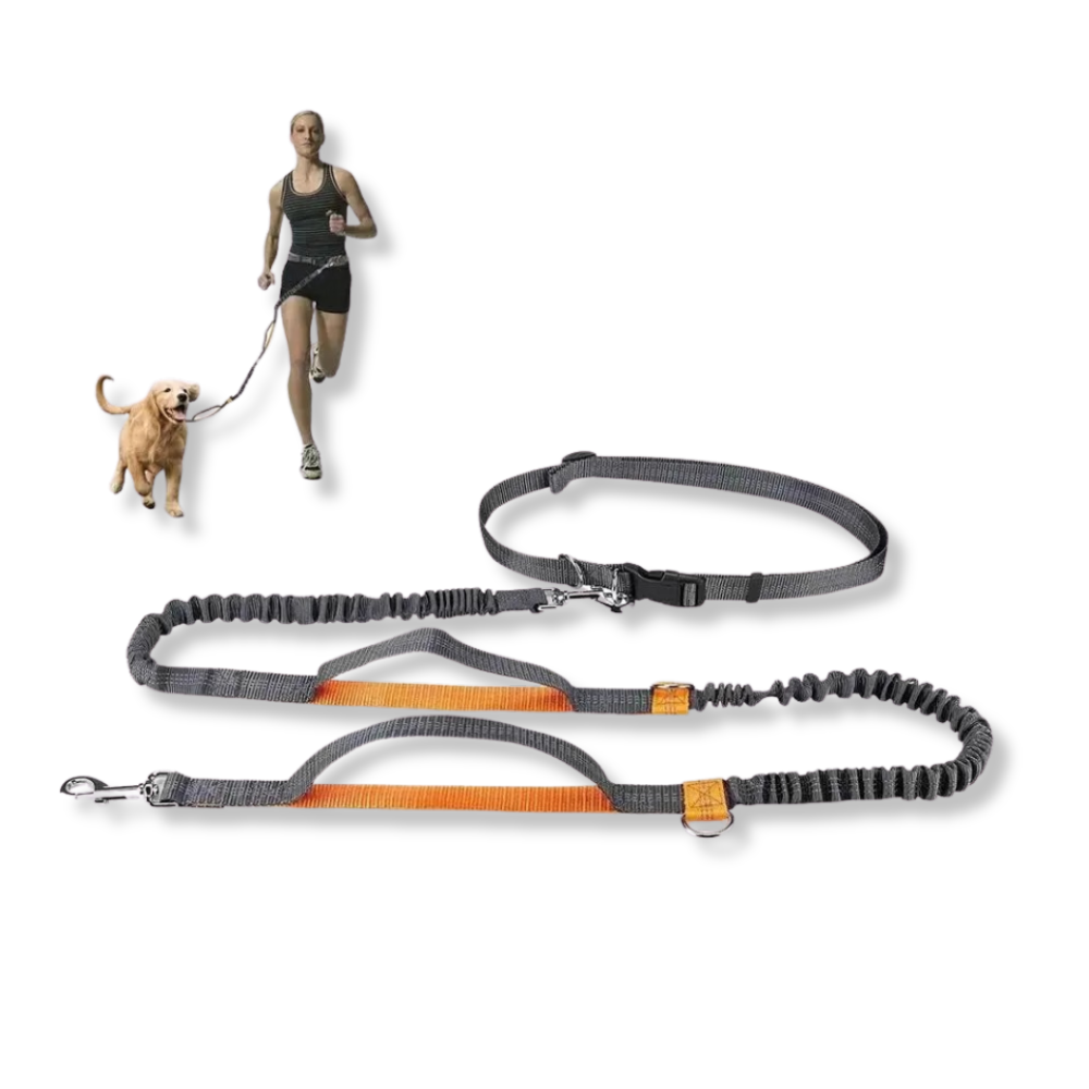 Elastic Hands-Free Running Dog Leash
