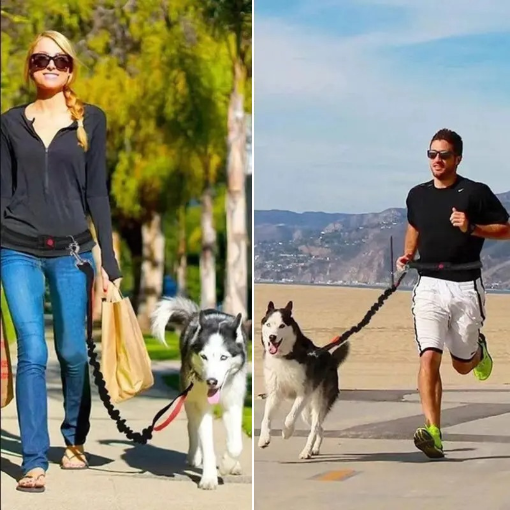Elastic Hands-Free Running Dog Leash