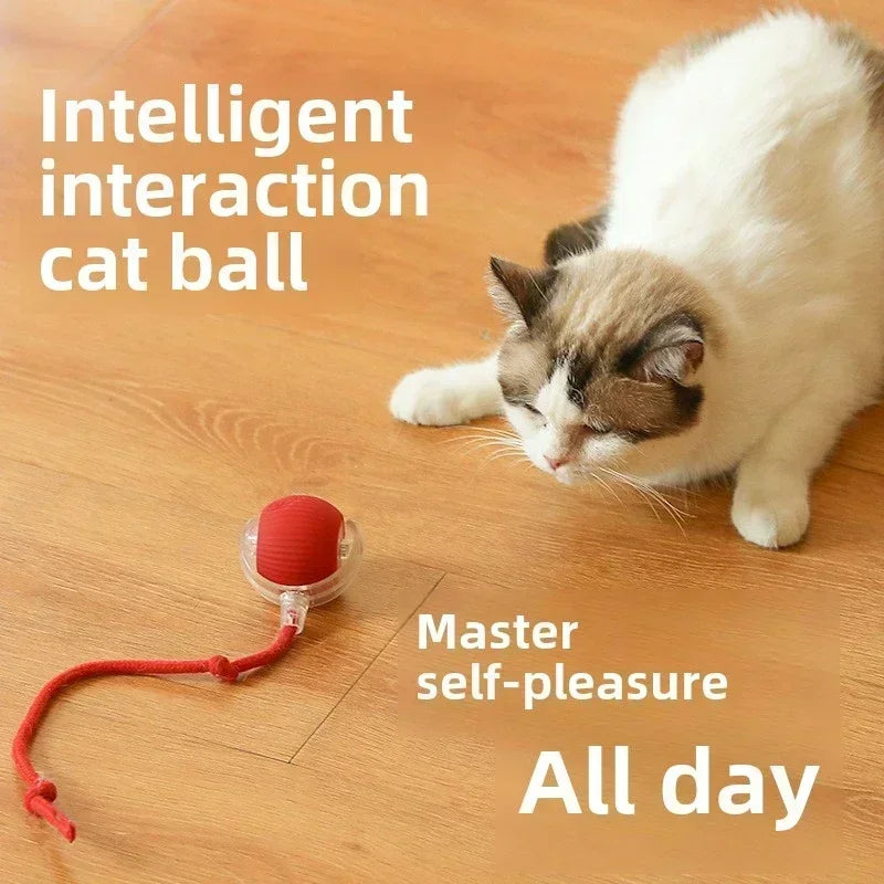 Rechargeable Rolling Ball Toy – Automatic Fun for Dogs & Cats