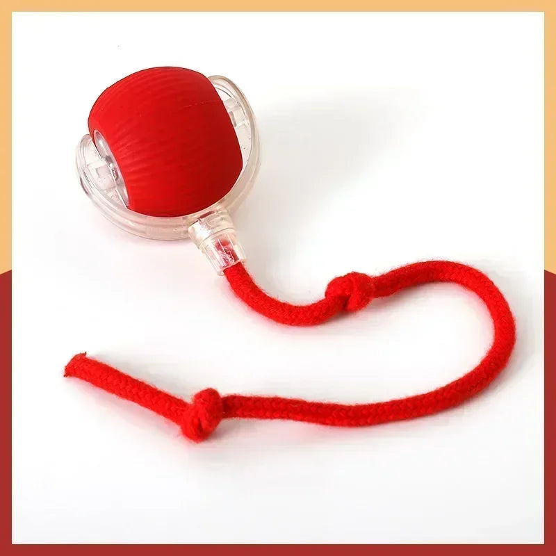 Rechargeable Rolling Ball Toy – Automatic Fun for Dogs & Cats