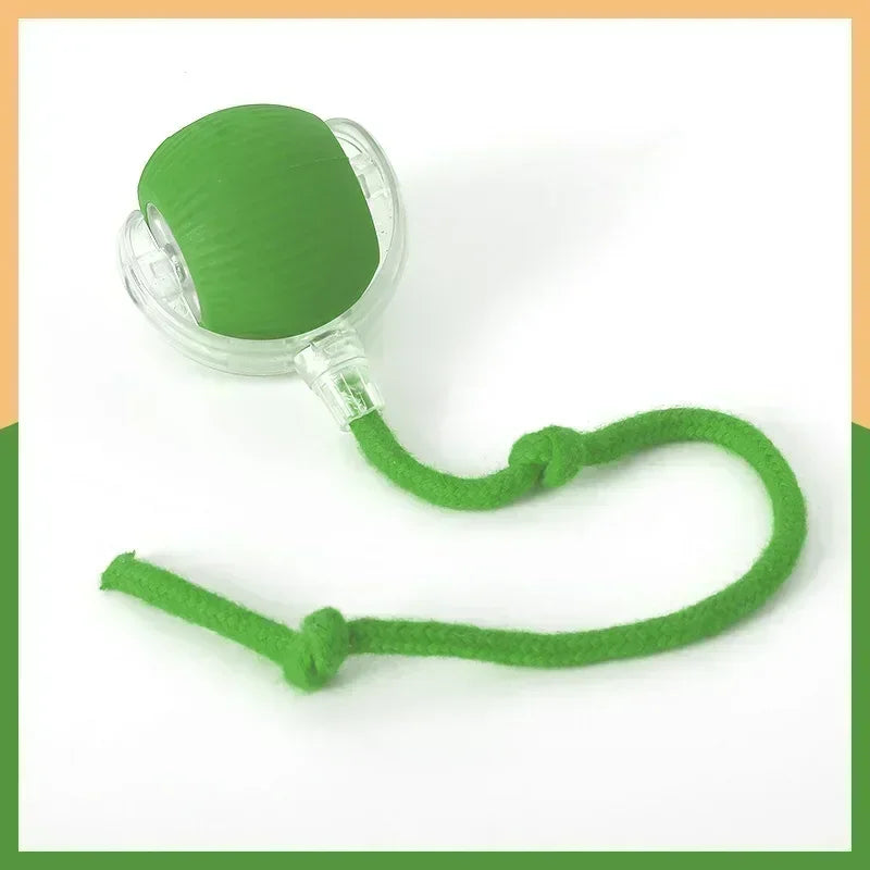 Rechargeable Rolling Ball Toy – Automatic Fun for Dogs & Cats