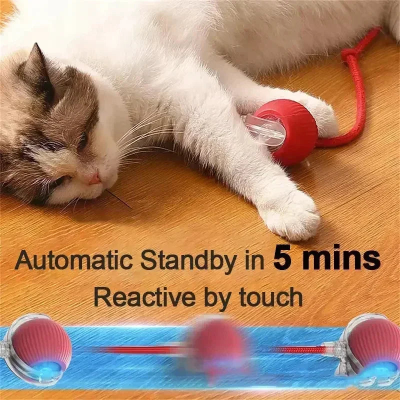 Rechargeable Rolling Ball Toy – Automatic Fun for Dogs & Cats