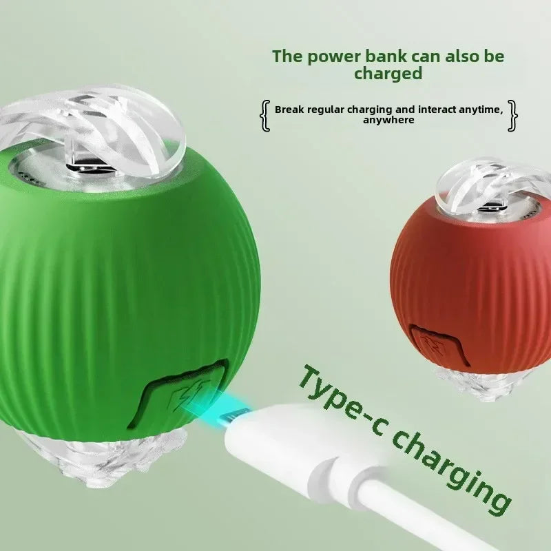 Rechargeable Rolling Ball Toy – Automatic Fun for Dogs & Cats
