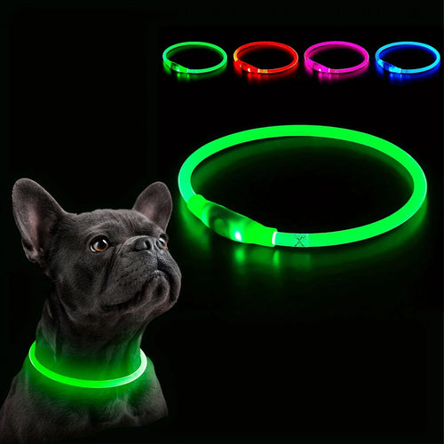 LED Glow Safety Collar for Dogs