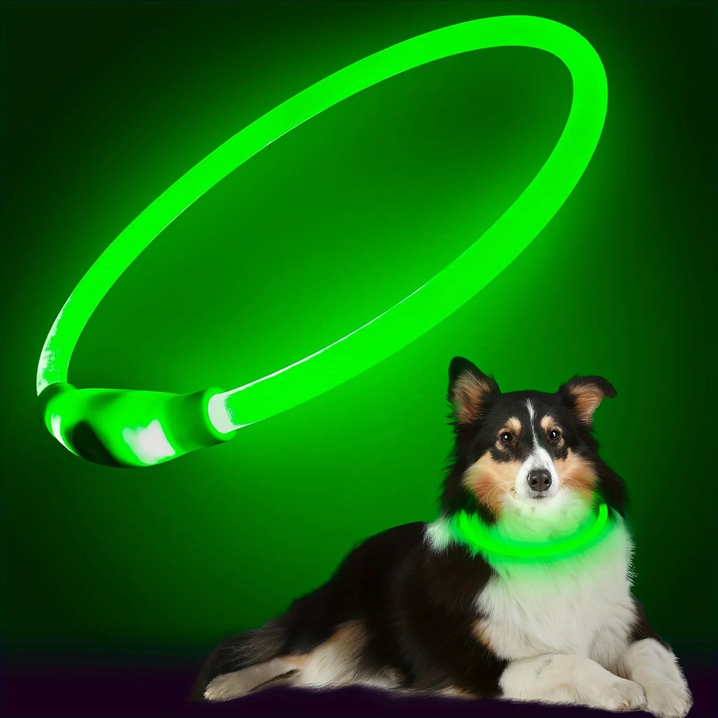 LED Glow Safety Collar for Dogs