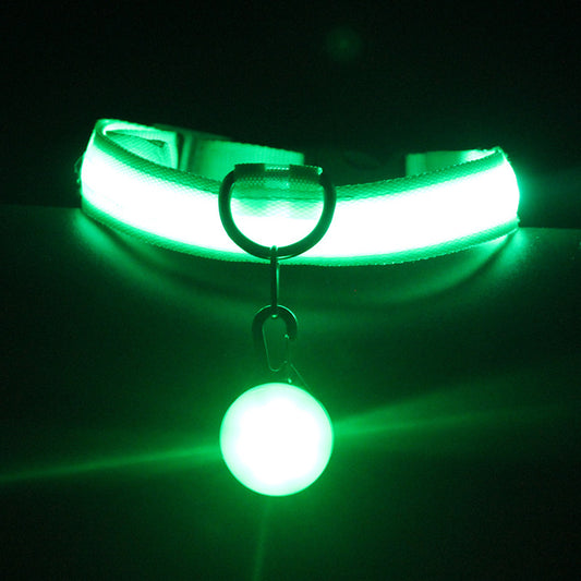 GLOWBAND LUMINOUS DOG COLLAR BRIGHT STYLISH AND SAFE WALKS - BARKLYX