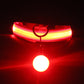 GLOWBAND LUMINOUS DOG COLLAR BRIGHT STYLISH AND SAFE WALKS - BARKLYX