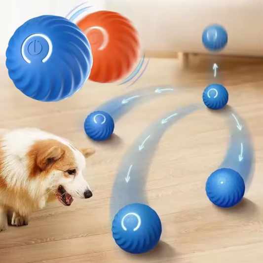 Electronic Moving Pet Toy