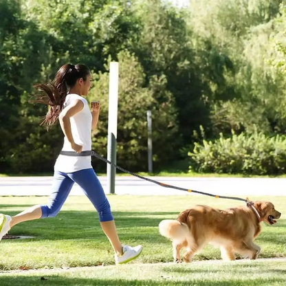 Elastic Hands-Free Running Dog Leash
