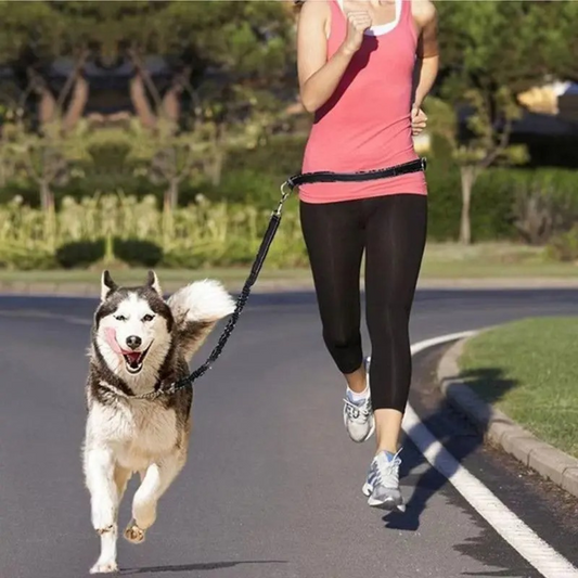 Elastic Hands-Free Running Dog Leash