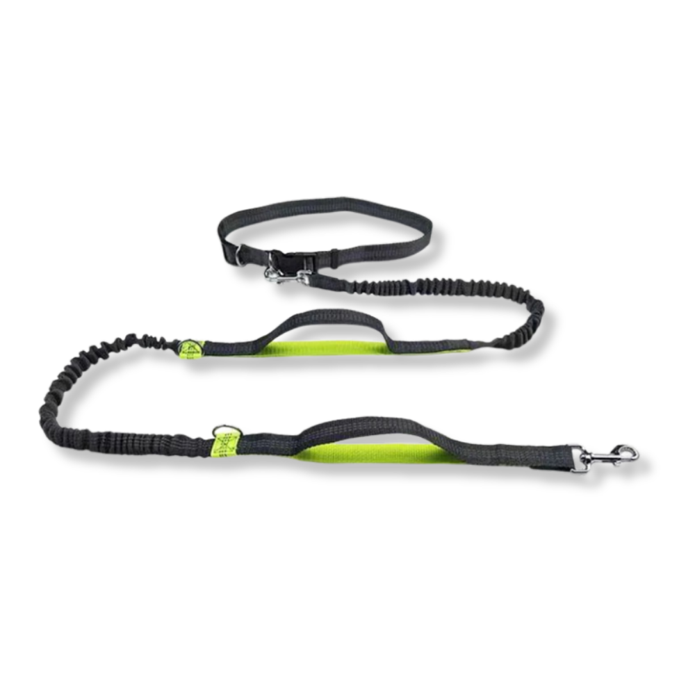 Elastic Hands-Free Running Dog Leash