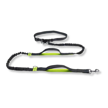 Elastic Hands-Free Running Dog Leash