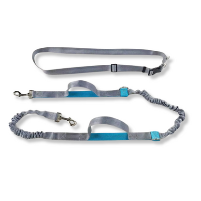 Elastic Hands-Free Running Dog Leash