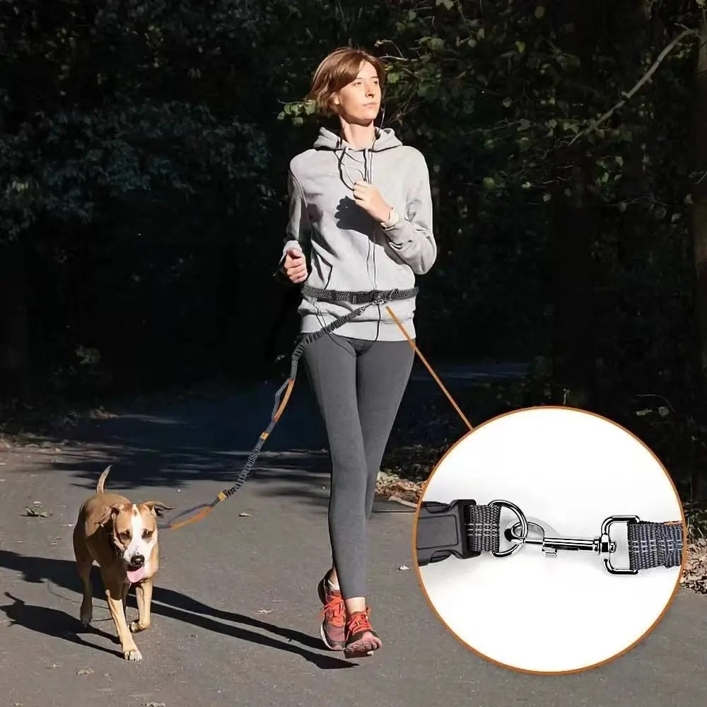 Elastic Hands-Free Running Dog Leash