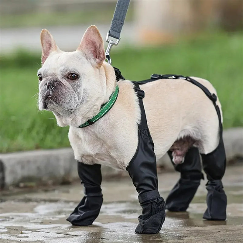 BREATHABLE WATERPROOF DOG BOOTS KEEP YOUR DOG'S PAWS SAFE AND COMFORTABLE - BARKLYX