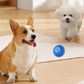 INTERACTIVE LED DOG BALL FOR ENDLESS FUN AND PLAYTIME - BARKLYX