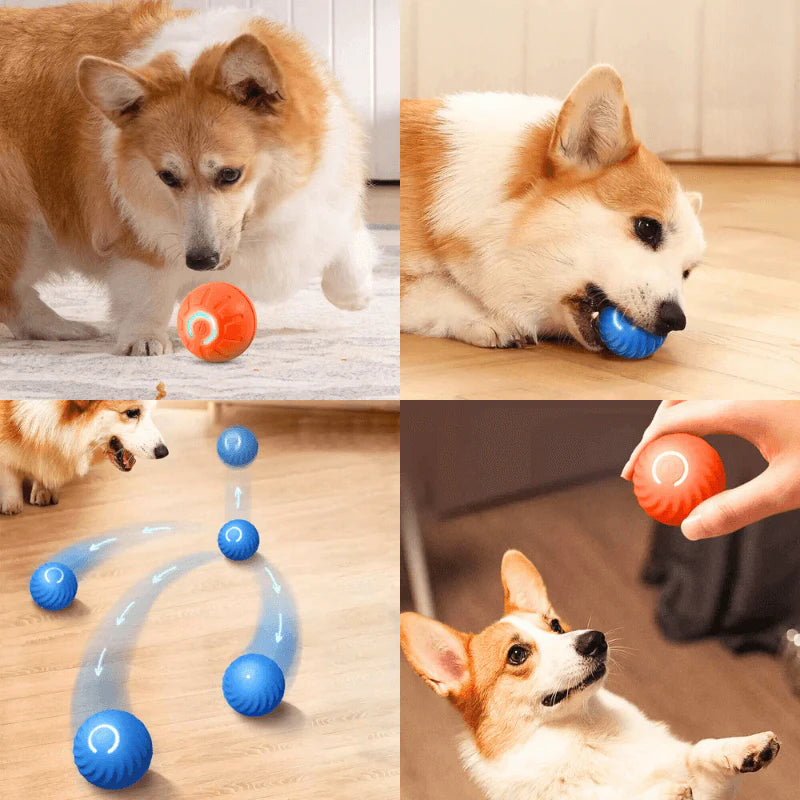 INTERACTIVE LED DOG BALL FOR ENDLESS FUN AND PLAYTIME - BARKLYX