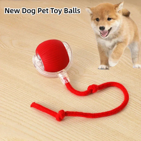 Rechargeable Rolling Ball Toy – Automatic Fun for Dogs & Cats