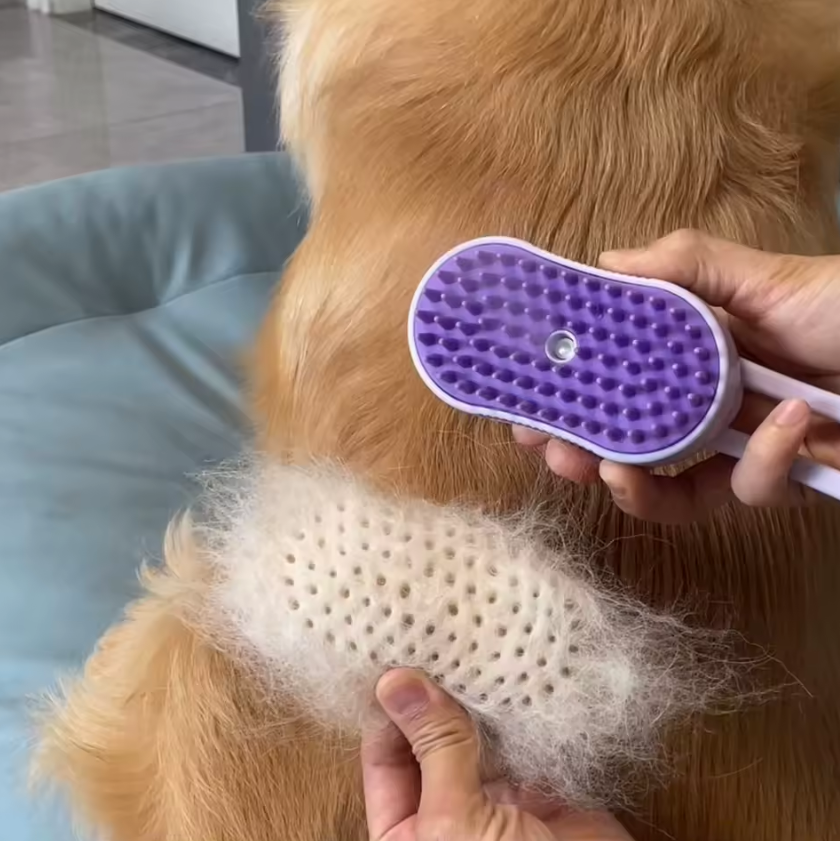 Hair Remover Steam Anti-Static Brush