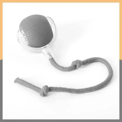 Rechargeable Rolling Ball Toy – Automatic Fun for Dogs & Cats