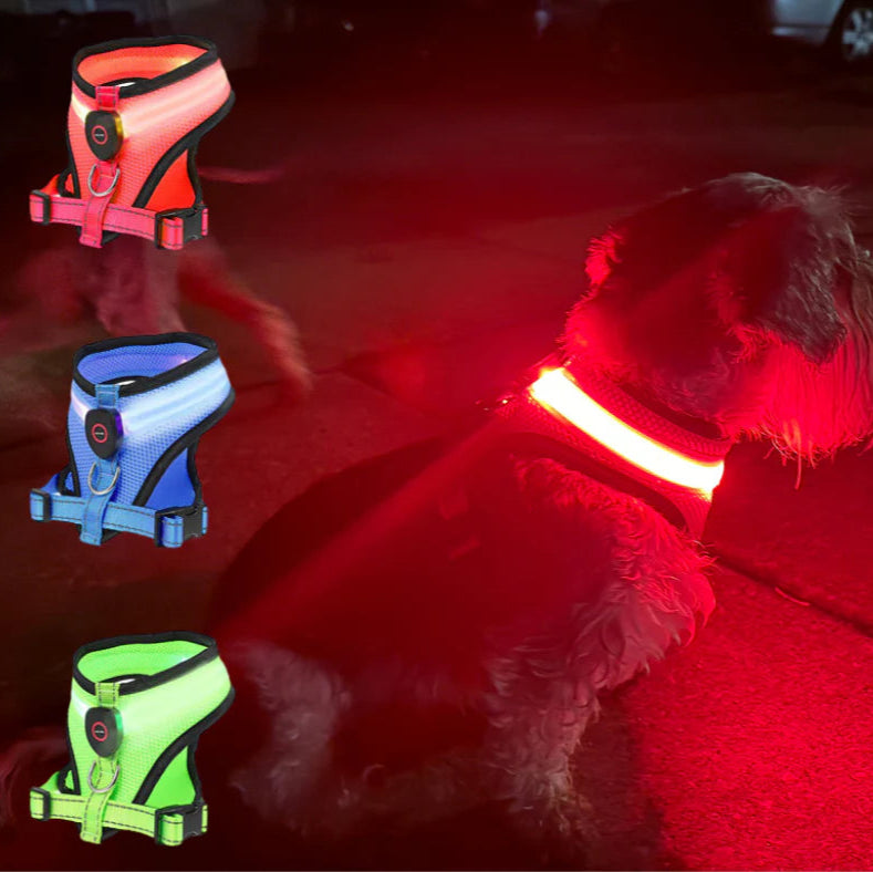 GLOWSAFE LED DOG HARNESS - BRIGHT, VISIBLE, AND SECURE WALKS - BARKLYX