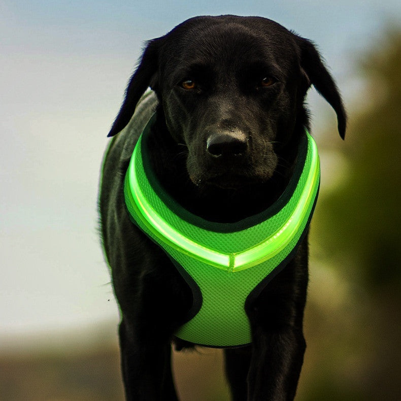 GLOWSAFE LED DOG HARNESS - BRIGHT, VISIBLE, AND SECURE WALKS - BARKLYX