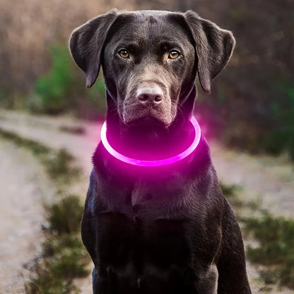 LED Glow Safety Collar for Dogs