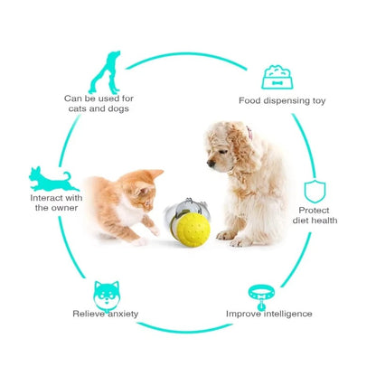 Interactive Slow Feeder Dog Toy