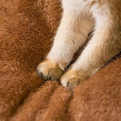 Soft Enclosed Pet Nest – Warm Bed for Small Dogs & Cats (All Seasons)